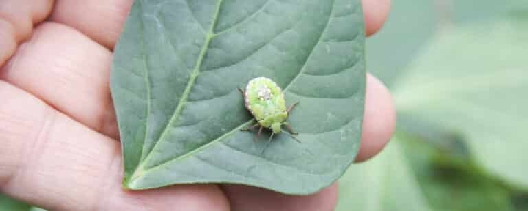 Blog 9