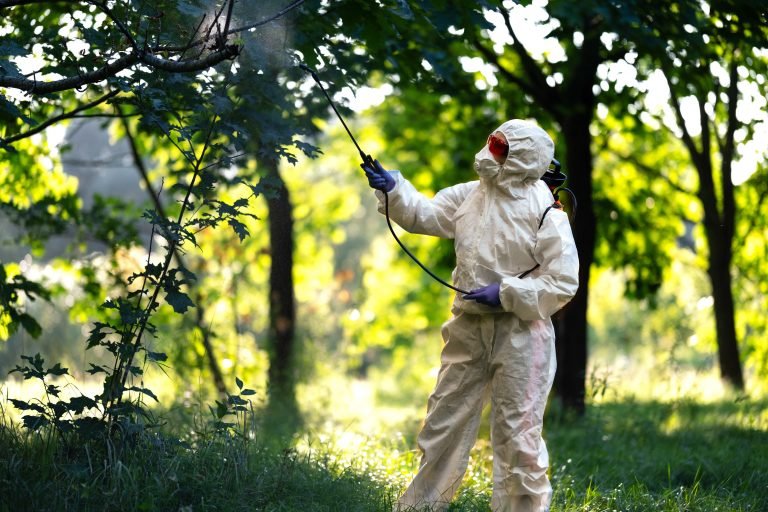 A worker sprays pesticides on trees outdoors, close up. pest control