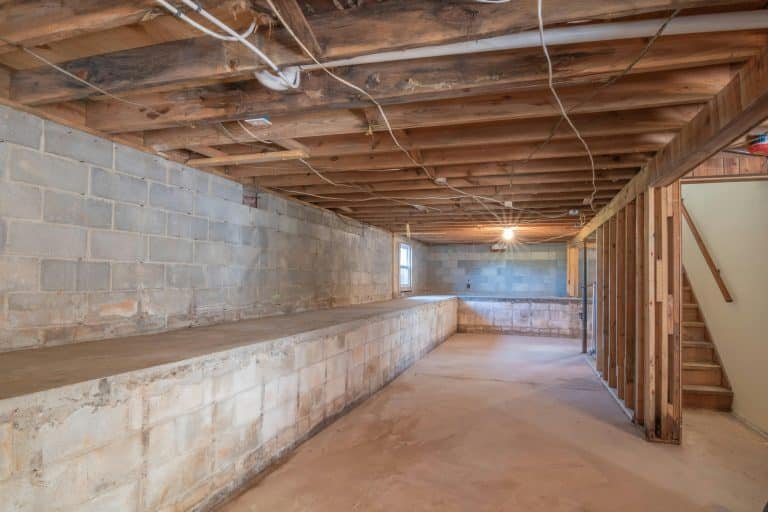 How Heavy Snow Can Lead to Pest Activity in Crawl Spaces and Basements