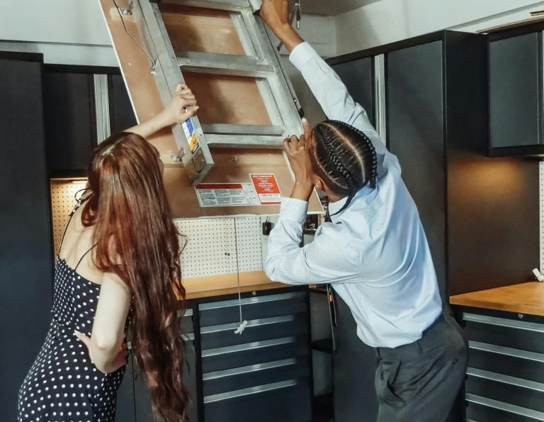 How to Seal Off Unfinished Basements and Attics to Prevent Pest Infestations in Youngstown, Ohio