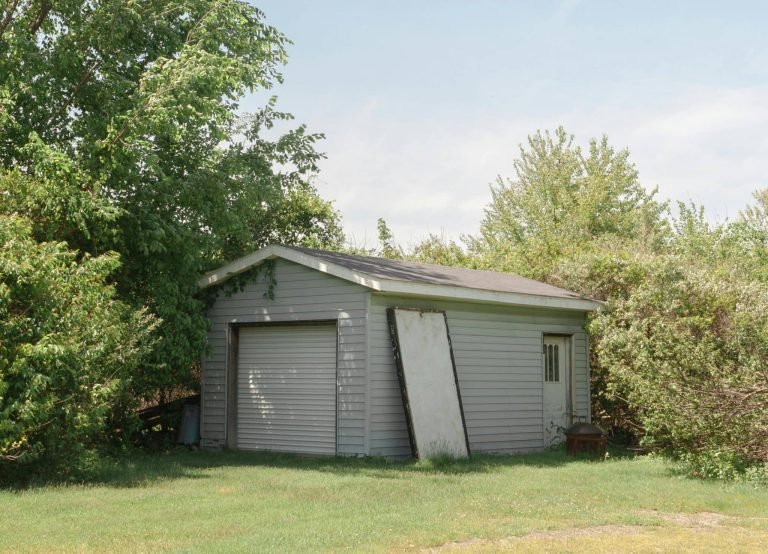 Tips for Keeping Garages, Sheds, and Basements Pest-Free in Canton, Ohio