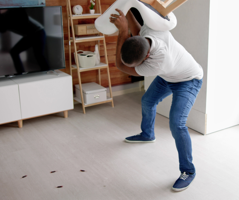 Pest Prevention in Cleveland Ohio