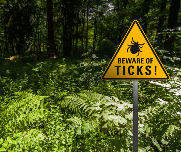 Ticks in Canton Ohio