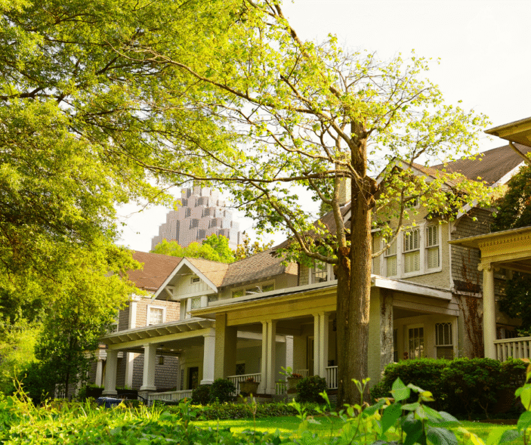 Reliable Pest Control in Atlanta