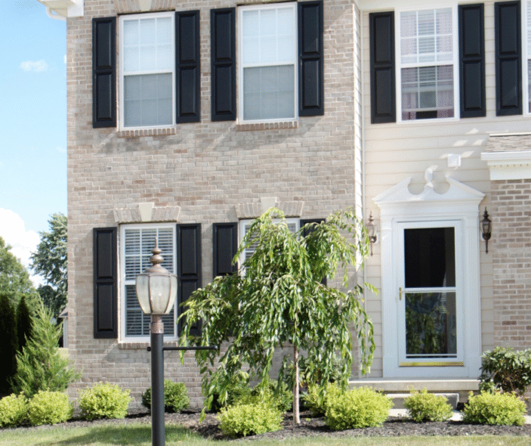 Pest Control in East Columbus, Ohio: Protect Your Home from Unwanted Pests