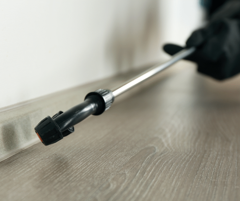 Overwintering insects Hermitage PA