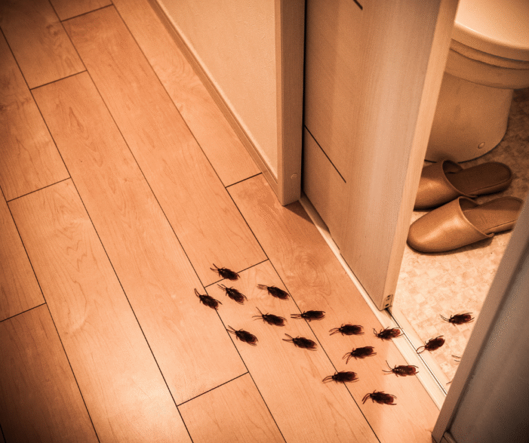 Fall pest prevention Akron OH