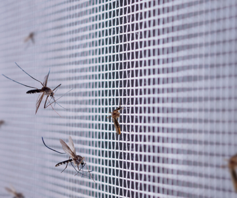 mosquito exterminator Fayetteville