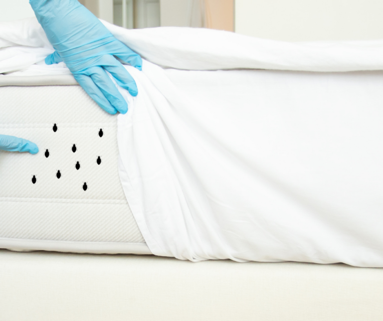Cleveland bed bug control