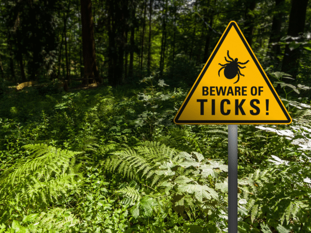 Ticks in Canton Ohio {{brizy_dc_image_alt entityId=