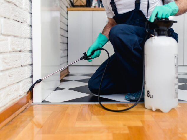 {{brizy_dc_image_alt entityId=