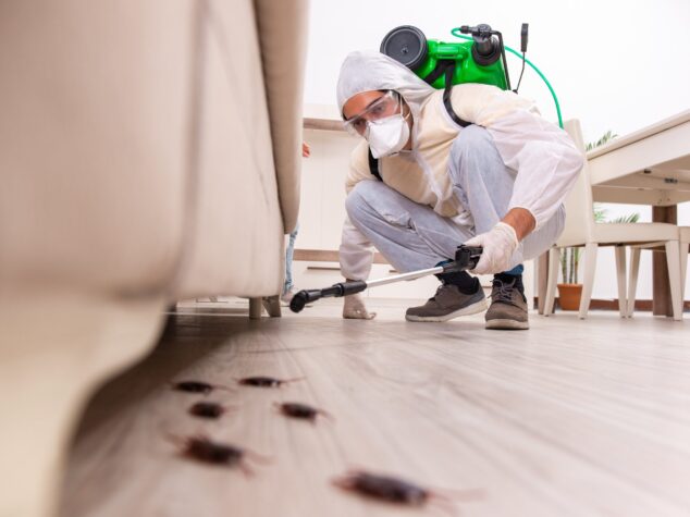 {{brizy_dc_image_alt entityId=