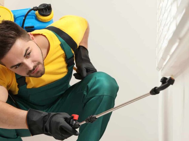 {{brizy_dc_image_alt entityId=