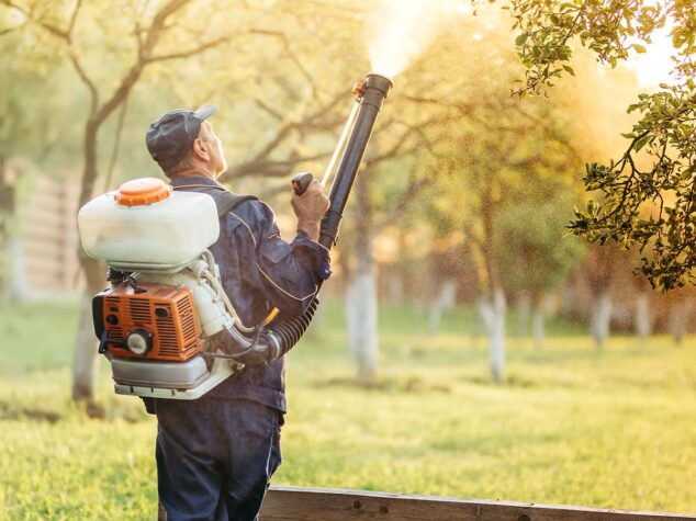 {{brizy_dc_image_alt entityId=