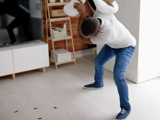 Pest Prevention in Cleveland Ohio {{brizy_dc_image_alt entityId=