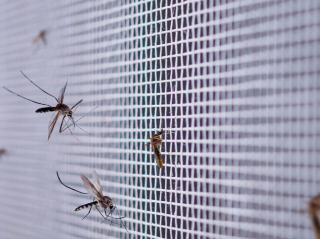 mosquito exterminator Fayetteville