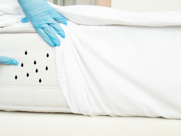 Cleveland bed bug control