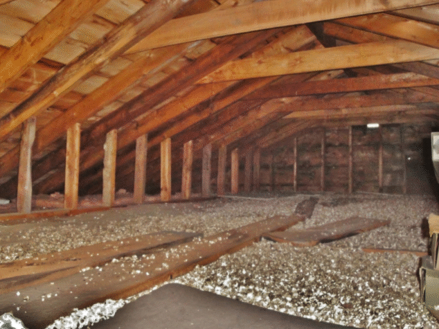 Pest Removal in Attics Akron Ohio