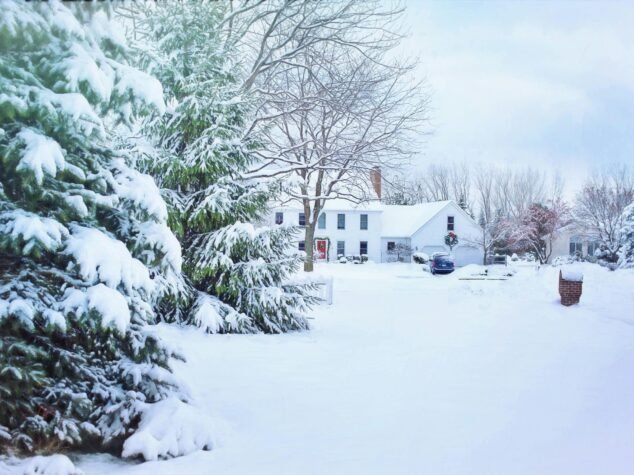 Lake Erie’s Lake-Effect Snow and Its Impact on Pest Behavior in Cleveland Lake Erie’s Lake-Effect Snow and Its Impact on Pest Behavior in Cleveland